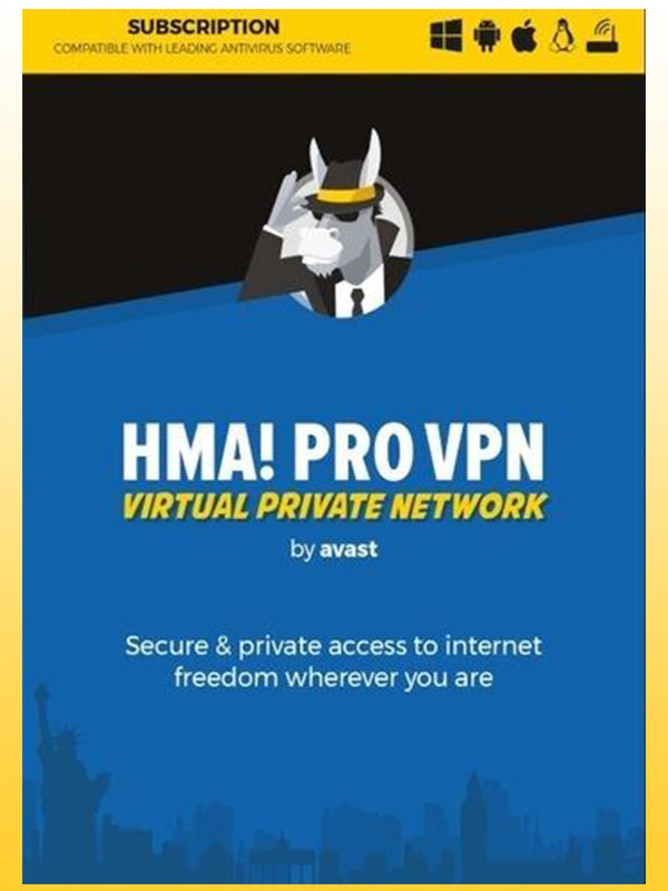 VPN