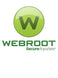 Webroot SecureAnywhere AntiVirus 5 Devices 1 Year Key GLOBAL